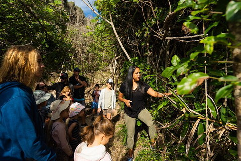 Cape Byron Aboriginal Tour - Accommodation Coffs Harbour 4