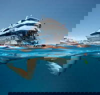 3 Day Great Barrier Reef Daintree Rainforest and Outback Chillagoe Tour - Accommodation Coffs Harbour