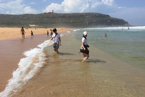 Small-Group Sydney's Northern Beaches And Ku-ring-gai National Park Bus Tour - Accommodation Coffs Harbour 5
