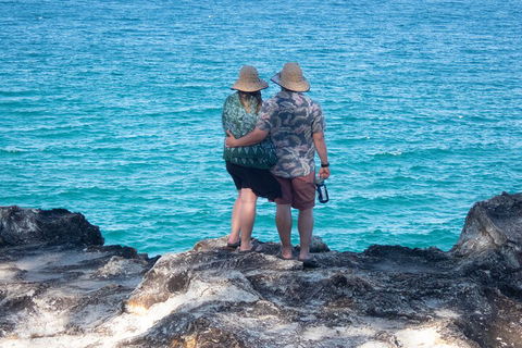 North Stradbroke Island Private Tour With Pickup - Accommodation Coffs Harbour 4