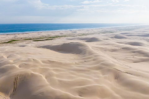 Port Stephens Bush, Beach And Sand Dune 4WD Passenger Tour - Accommodation Coffs Harbour 2