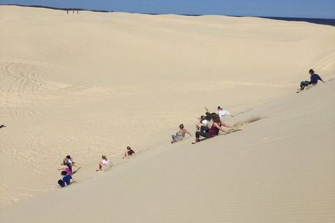 Port Stephens Bush, Beach And Sand Dune 4WD Passenger Tour - Accommodation Coffs Harbour 4