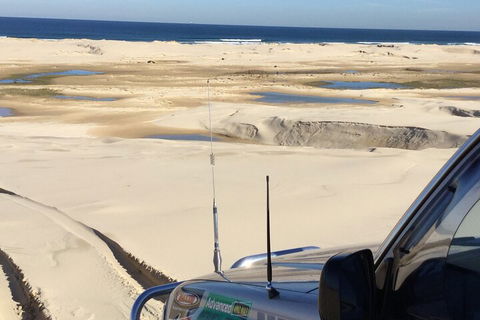 Port Stephens Bush, Beach And Sand Dune 4WD Passenger Tour - Accommodation Coffs Harbour 5