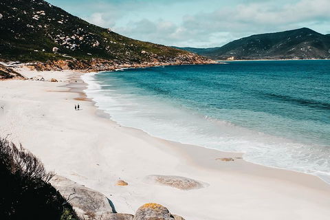 Small Group - Wilsons Promontory Hiking Day Tour From Melbourne - Accommodation Coffs Harbour 2