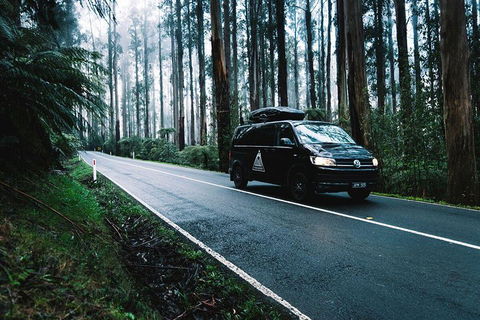 Small Group - Wilsons Promontory Hiking Day Tour From Melbourne - Accommodation Coffs Harbour 4