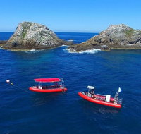 3-Hour Byron Bay Certified Scuba Diving Tour