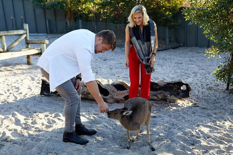 Albany's Whale Story - Accommodation Coffs Harbour 1