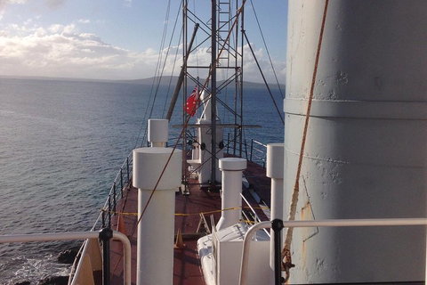 Albany's Whale Story - Accommodation Coffs Harbour 2