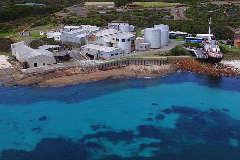 Albany's Whale Story - Accommodation Coffs Harbour 4