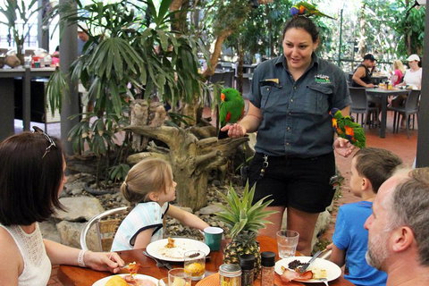 Wildlife Habitat Port Douglas - Accommodation Coffs Harbour 2