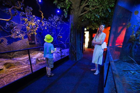 Wildlife Habitat Port Douglas - Accommodation Coffs Harbour 4