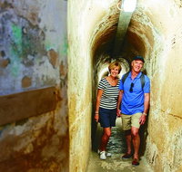 Rottnest Island Historical Train and Tunnel Tour from Hillarys Boat Harbour - Accommodation Coffs Harbour