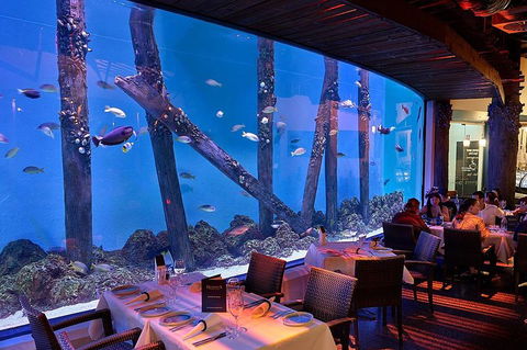 Cairns Aquarium And Small Group City Sightseeing Tour - Accommodation Coffs Harbour 4