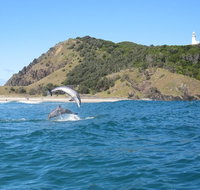 Kayaking with Dolphins in Byron Bay Guided Tour