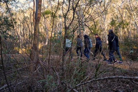Wild Australian Wildlife 4WD Tour From Sydney - Accommodation Coffs Harbour 0
