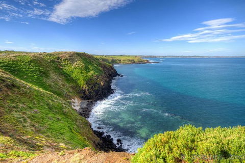 Phillip Island Penguin And Koala Highlights Day-Trip From Melbourne - Accommodation Coffs Harbour 5