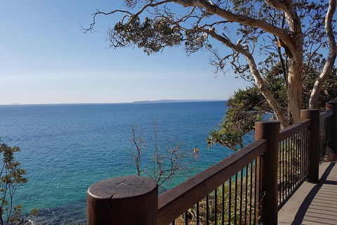 Noosa And Sunshine Coast Hinterland Day Trip From Brisbane - Accommodation Coffs Harbour 0