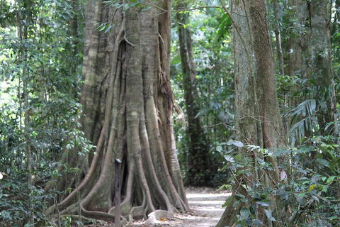 Noosa And Sunshine Coast Hinterland Day Trip From Brisbane - Accommodation Coffs Harbour 3