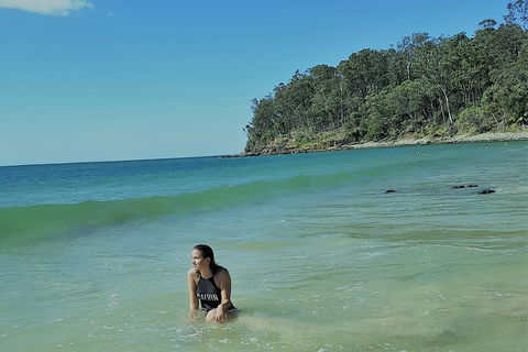 Noosa And Sunshine Coast Hinterland Day Trip From Brisbane - Accommodation Coffs Harbour 4