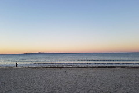 Noosa And Sunshine Coast Hinterland Day Trip From Brisbane - Accommodation Coffs Harbour 5