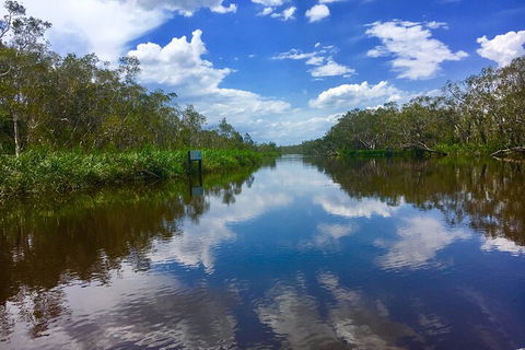 Noosa Everglades Serenity Cruise & Highlights Tour Inc. Lunch & Cruise - Accommodation Coffs Harbour 0