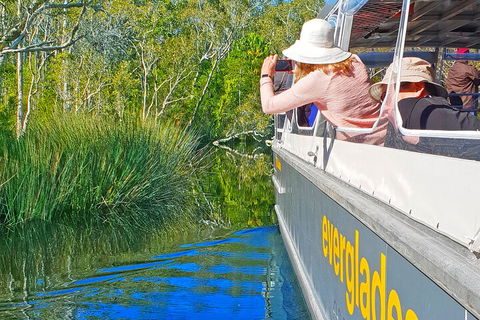 Noosa Everglades Serenity Cruise & Highlights Tour Inc. Lunch & Cruise - Accommodation Coffs Harbour 2