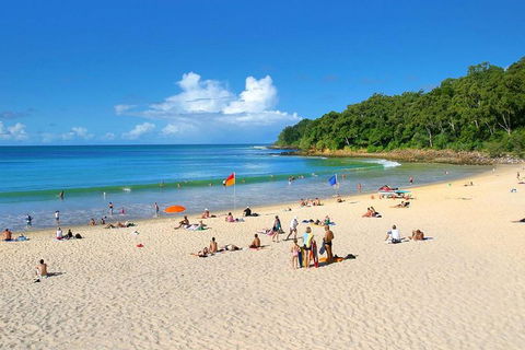 Noosa Everglades Serenity Cruise & Highlights Tour Inc. Lunch & Cruise - Accommodation Coffs Harbour 4