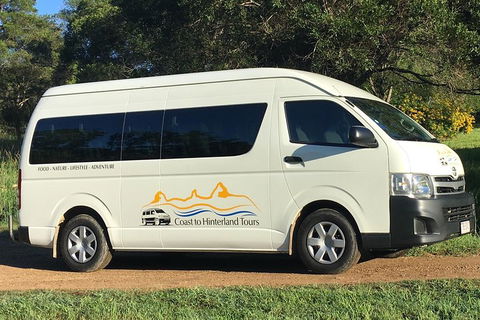 Noosa Everglades Serenity Cruise & Highlights Tour Inc. Lunch & Cruise - Accommodation Coffs Harbour 5