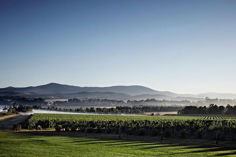 Chauffeur Driven Yarra Valley Group Wine Tour - Up To 7 - Accommodation Coffs Harbour 2