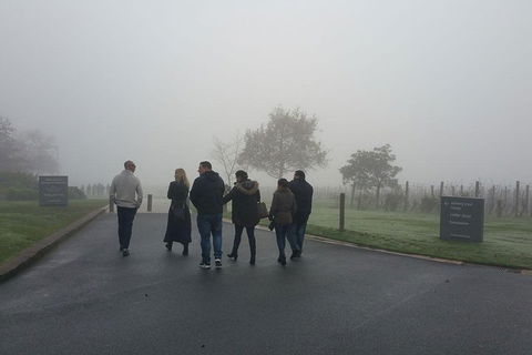 Chauffeur Driven Yarra Valley Group Wine Tour - Up To 7 - Accommodation Coffs Harbour 4