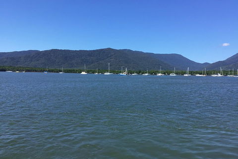 Cairns City Tour - Accommodation Coffs Harbour 3