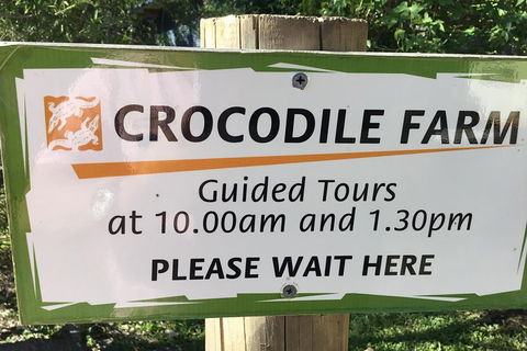 Cairns City Tour - Accommodation Coffs Harbour 5