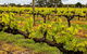 Margaret River Indulge And Discover Day Tour - thumb 5