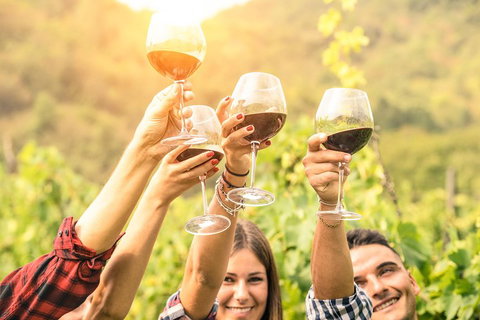 Adelaide Hills Day Tour. Winery Cellar Doors - Accommodation Coffs Harbour 0