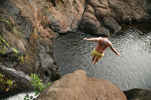 Hinterland Magic & Glow-worm Experience - Accommodation Coffs Harbour 3