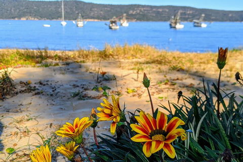 Central Coast Explorer With 'Personalised Sydney Tours' - Accommodation Coffs Harbour 2