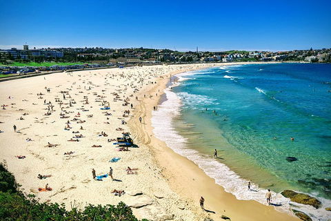 Sydney & Bondi Beach Plus Local Secrets With 'Personalised Sydney Tours' - Accommodation Coffs Harbour 5
