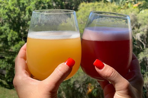 Hipster Sipster Brewery And Distillery Tour - Accommodation Coffs Harbour 3