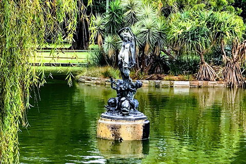 Discover Sydney - Botanic - Accommodation Coffs Harbour 0