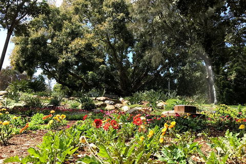 Discover Sydney - Botanic - Accommodation Coffs Harbour 3