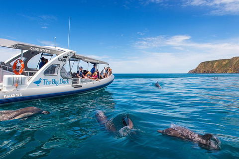 Victor Harbor And McLaren Vale Wine Region Day Tour - Accommodation Coffs Harbour 1