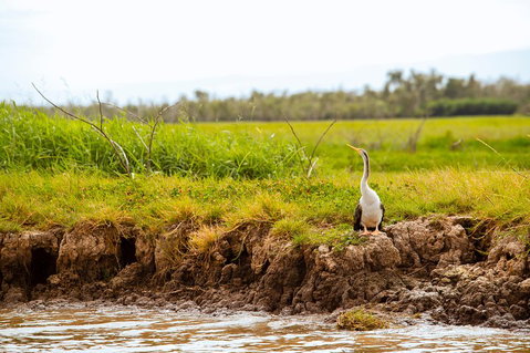 Darwin City Sights And Jumping Crocodile Cruise - Accommodation Coffs Harbour 2