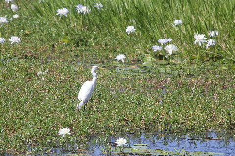 Darwin City Sights And Jumping Crocodile Cruise - Accommodation Coffs Harbour 4