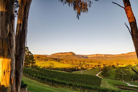 Taste Of The Blue Mountains - Lunch & Wine Tasting, Beer, Cider & Gin Tasting - Accommodation Coffs Harbour 1