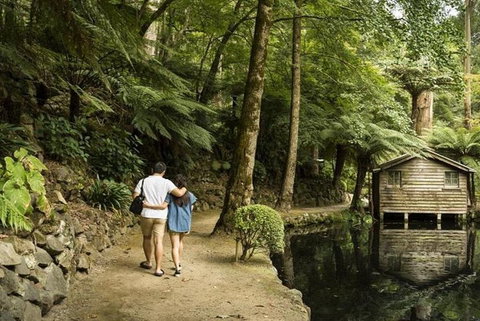 Discover Tour: Dandenong Ranges & William Ricketts Sanctuary - Accommodation Coffs Harbour 0
