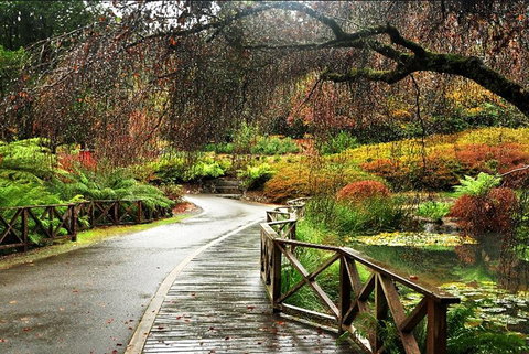 Discover Tour: Dandenong Ranges & William Ricketts Sanctuary - Accommodation Coffs Harbour 3