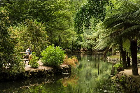 Discover Tour: Dandenong Ranges & William Ricketts Sanctuary - Accommodation Coffs Harbour 4
