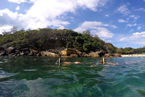 Manly And Shelly Beach Snorkeling Tour - Accommodation Coffs Harbour 4