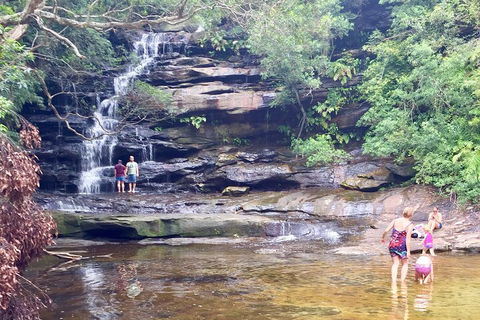 Central Coast Private Tour From Sydney, With Australian Reptile Park Option - Accommodation Coffs Harbour 0