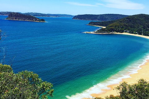 Central Coast Private Tour From Sydney, With Australian Reptile Park Option - Accommodation Coffs Harbour 5